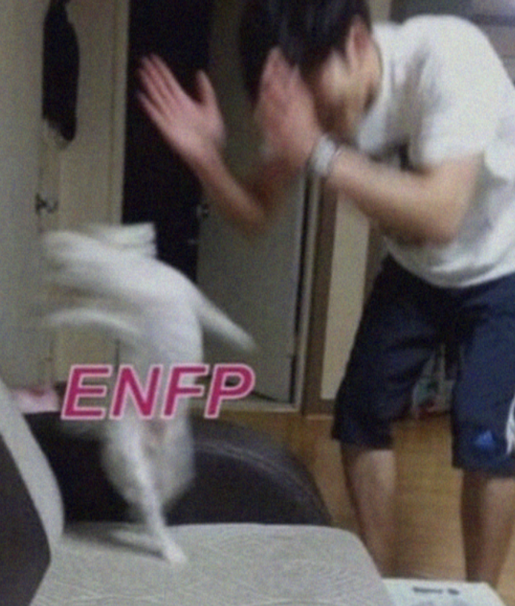 게시글 대표 이미지