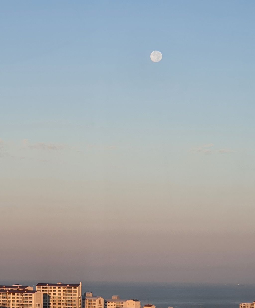 게시글 대표 이미지