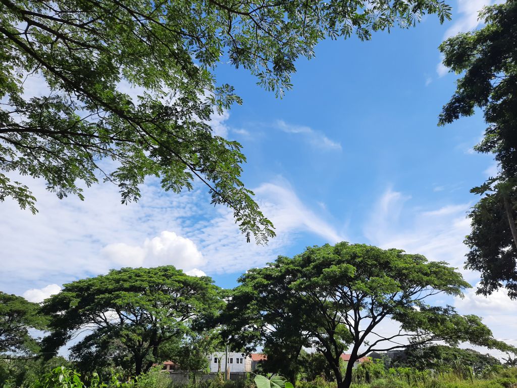 게시글 대표 이미지