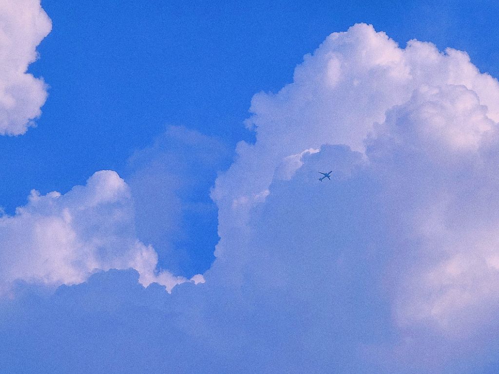 게시글 대표 이미지