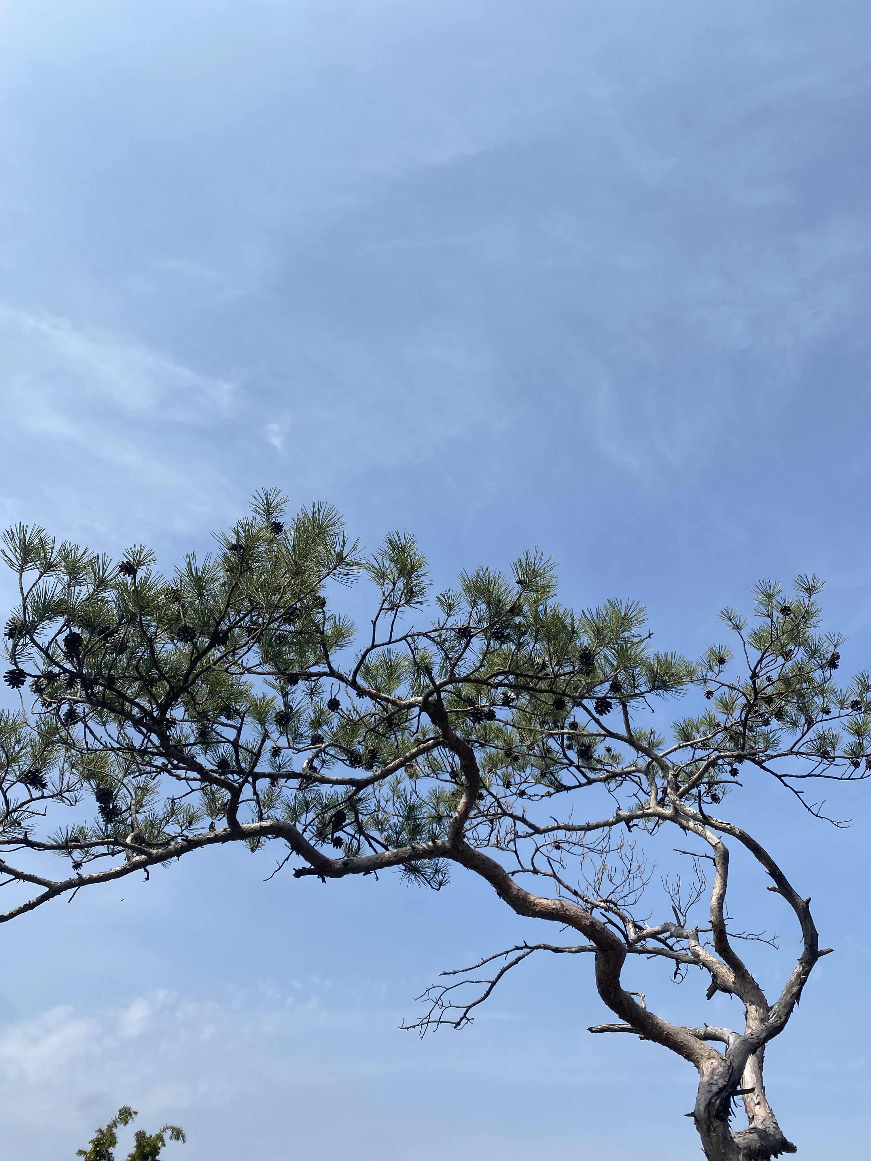 게시글 대표 이미지