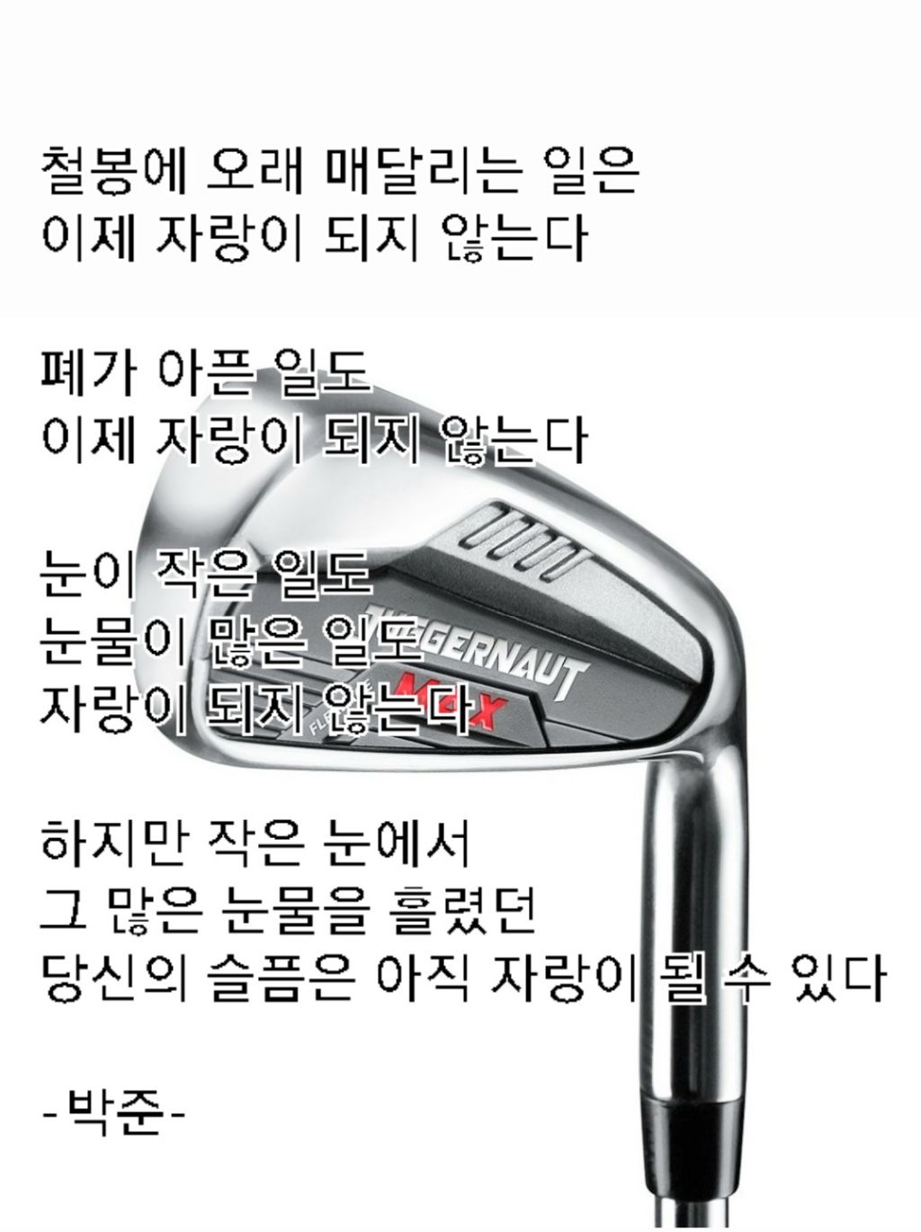 게시글 대표 이미지