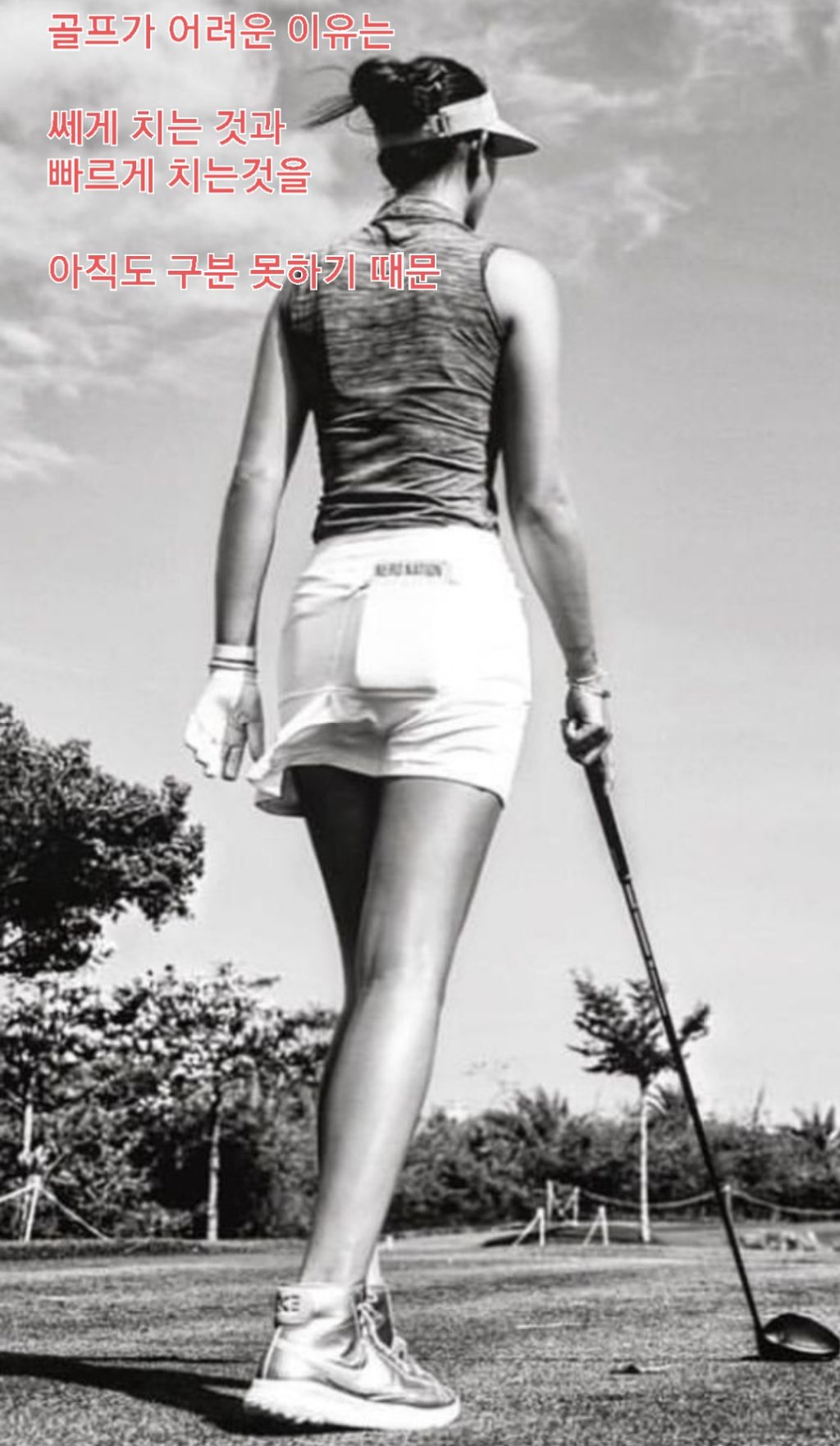 게시글 대표 이미지