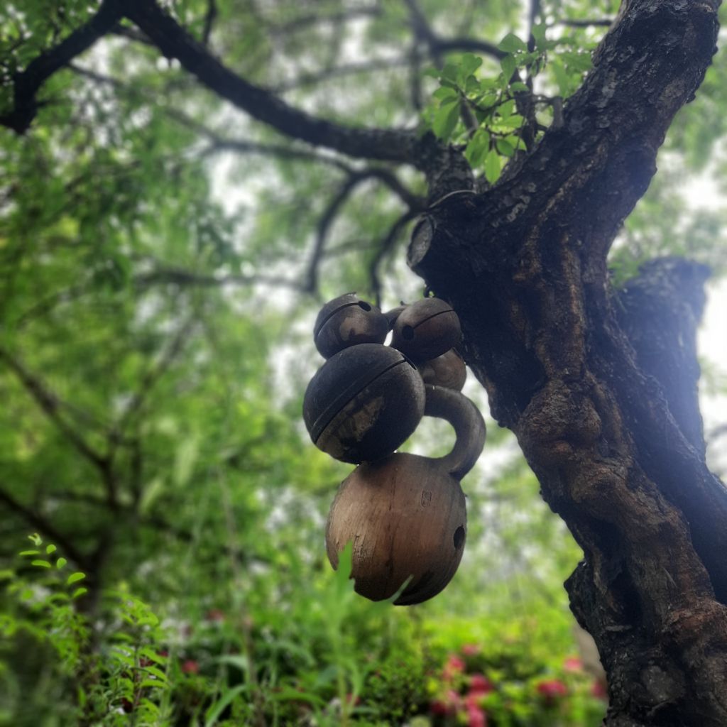 게시글 대표 이미지