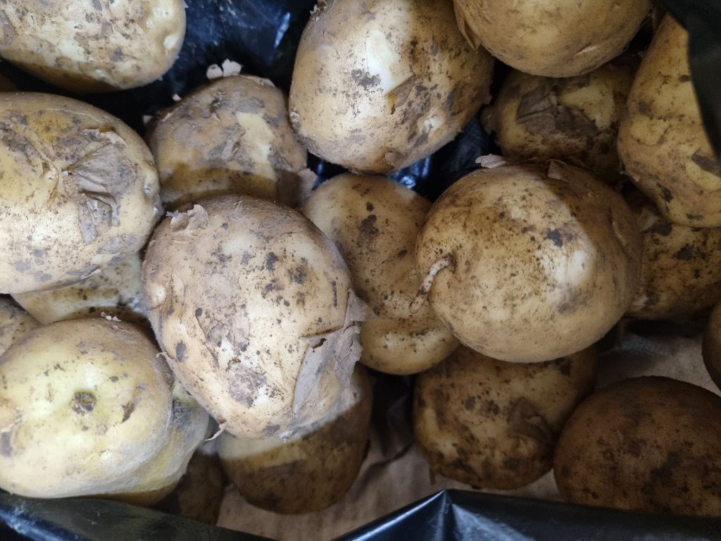 게시글 대표 이미지