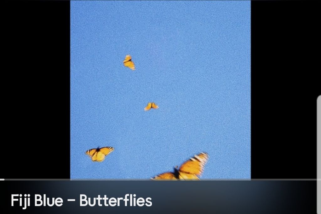 게시글 대표 이미지