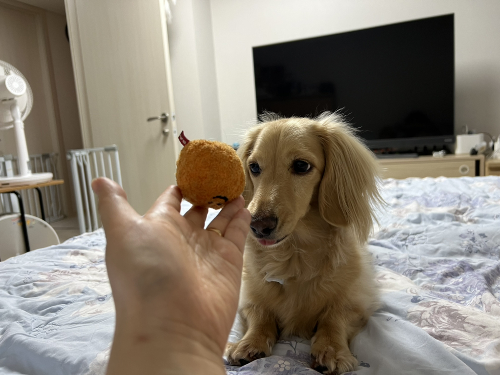 게시글 대표 이미지