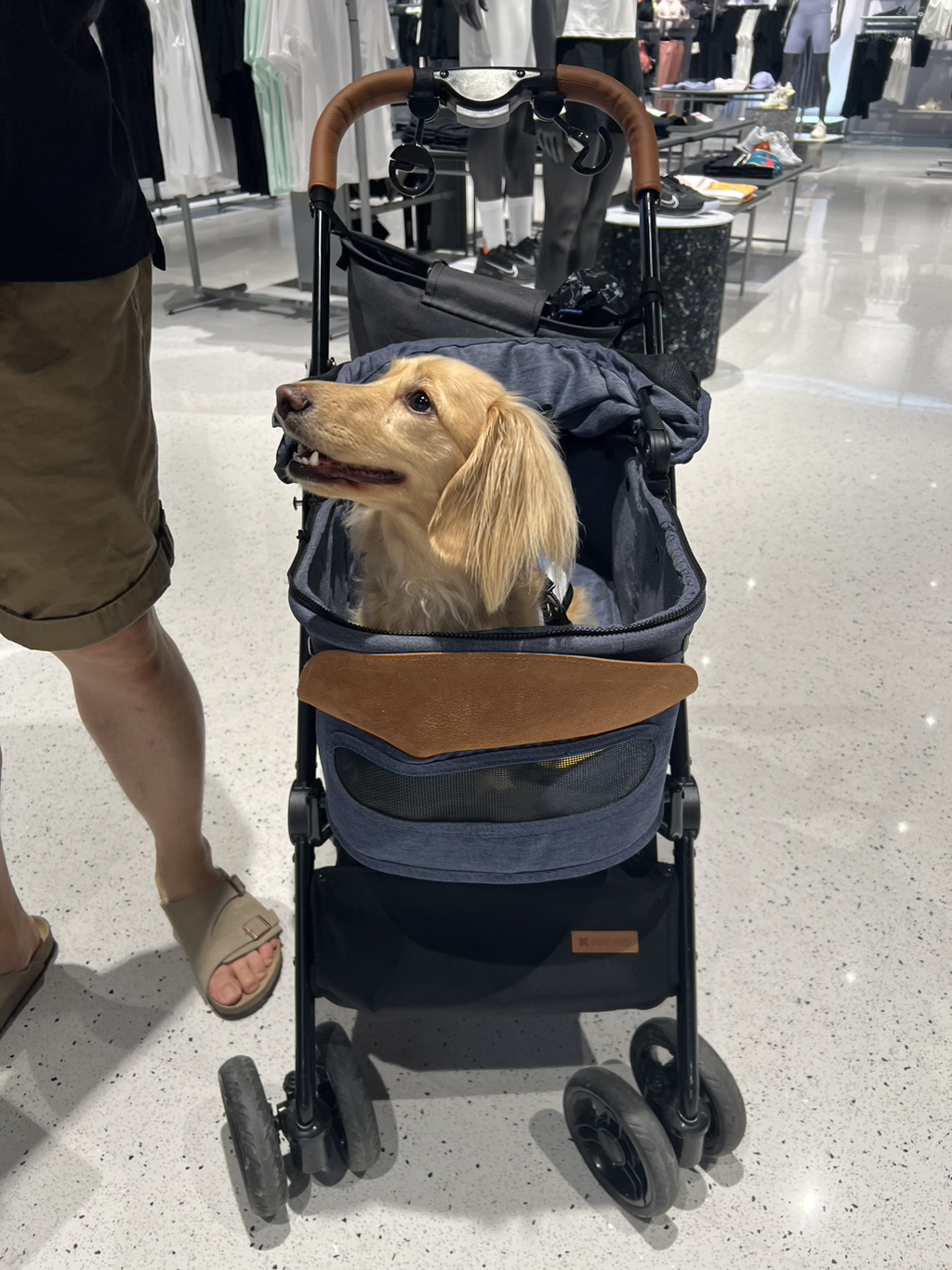 게시글 대표 이미지