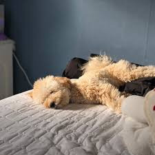 게시글 대표 이미지