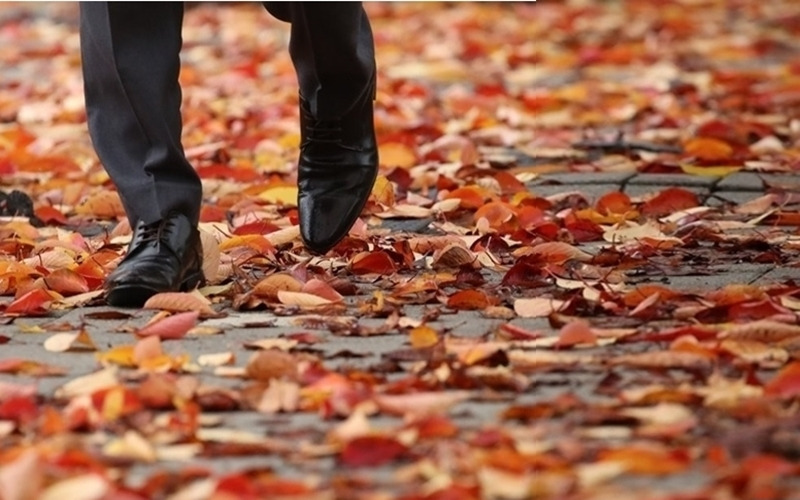 게시글 대표 이미지