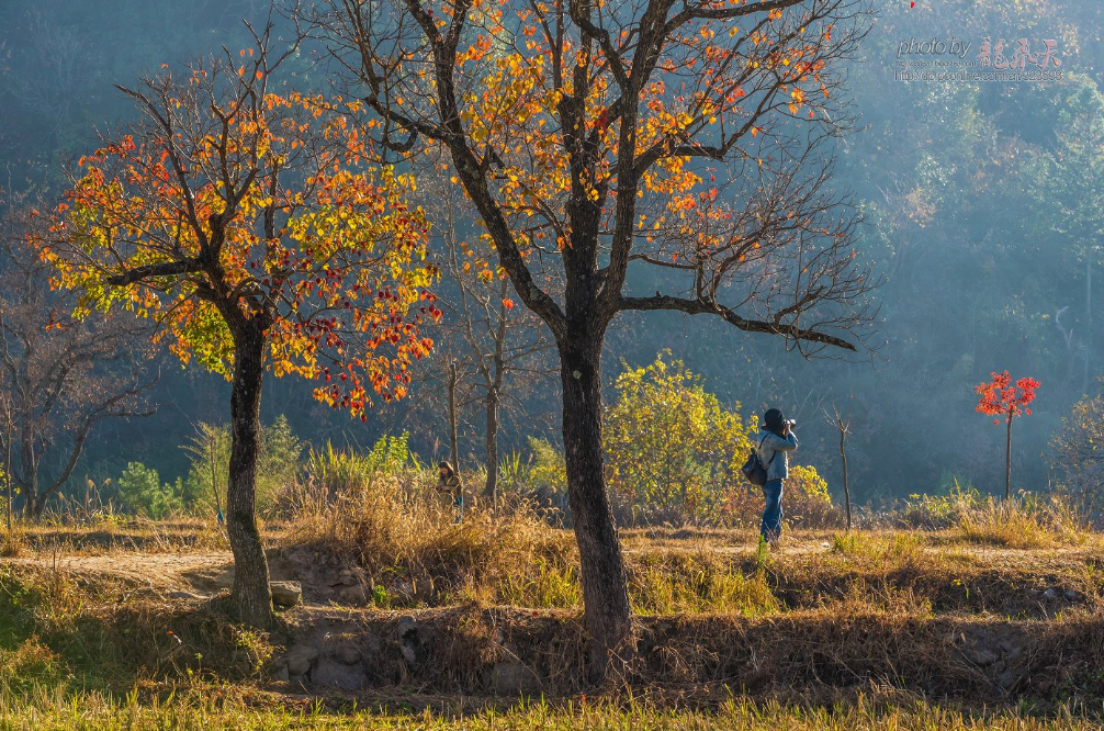 게시글 대표 이미지