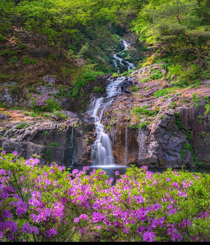 게시글 대표 이미지