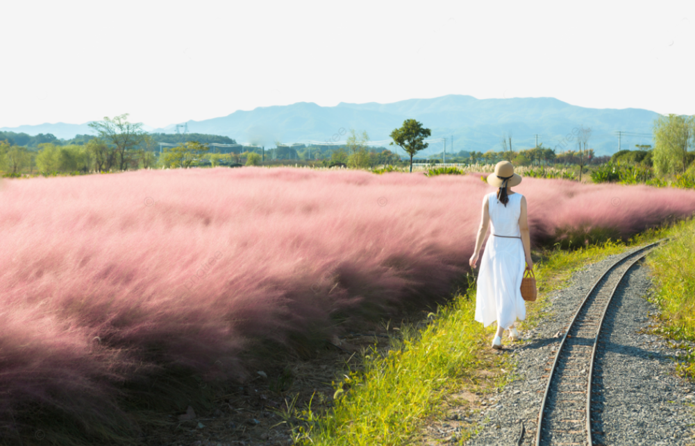 게시글 대표 이미지