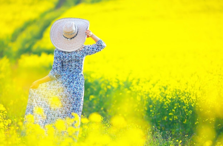 게시글 대표 이미지