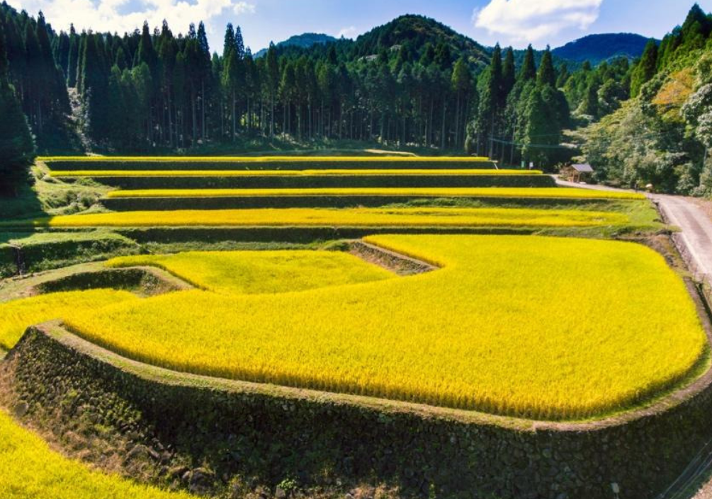 게시글 대표 이미지