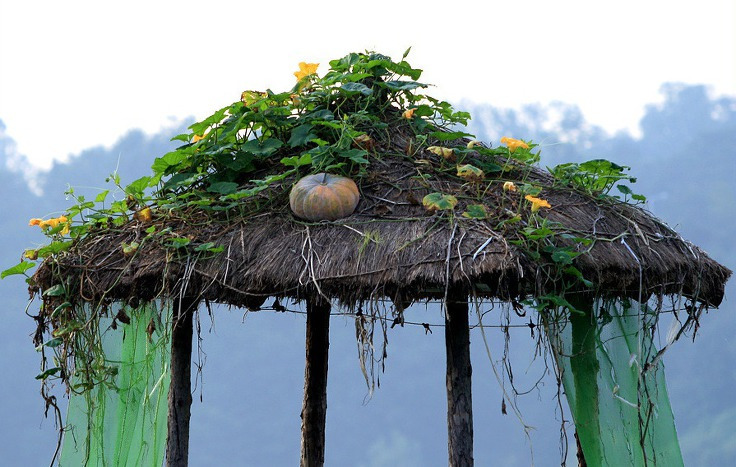 게시글 대표 이미지