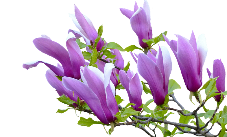 게시글 대표 이미지