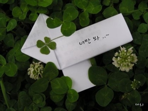 게시글 대표 이미지