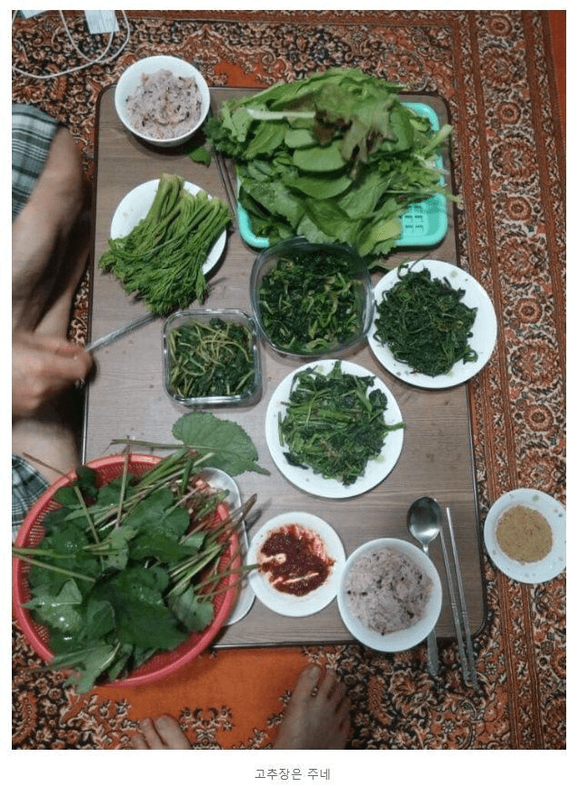 게시글 대표 이미지