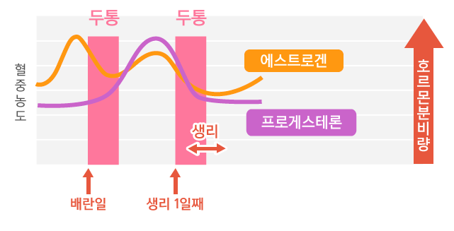 배란때와 생리때 두통오는 이유