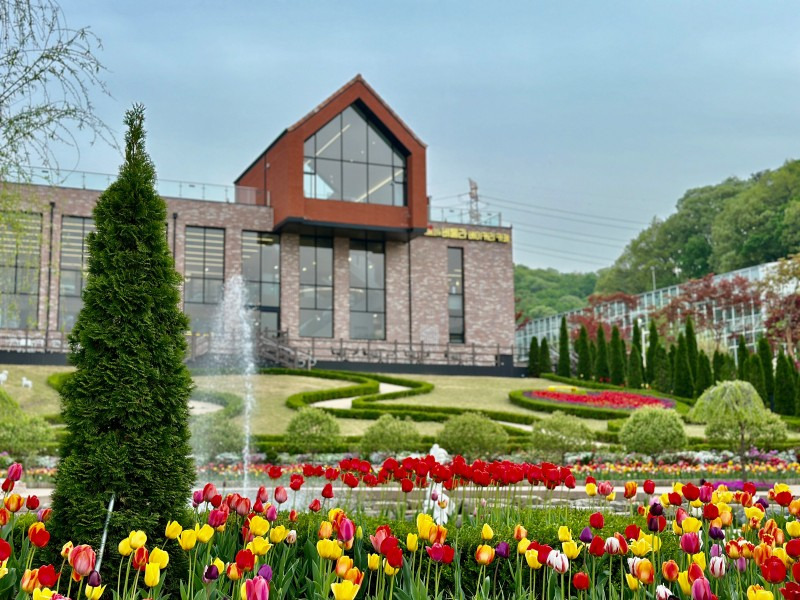 게시글 대표 이미지