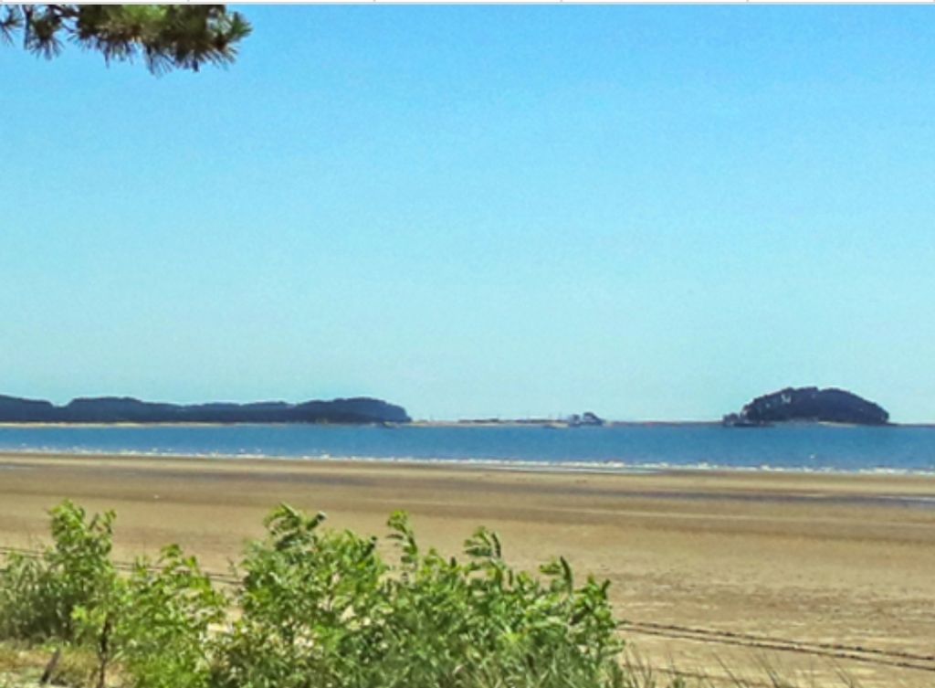 게시글 대표 이미지