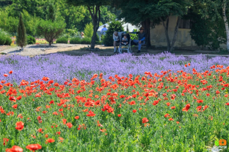 게시글 대표 이미지