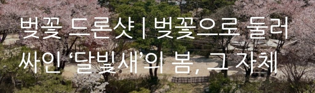 게시글 대표 이미지