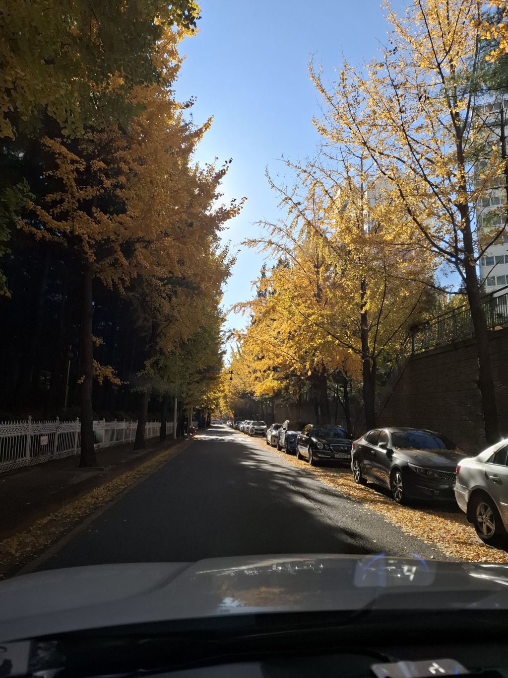 게시글 대표 이미지