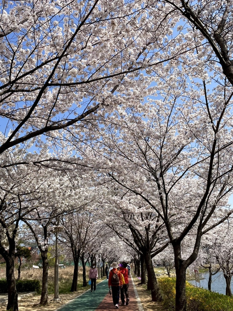 게시글 대표 이미지