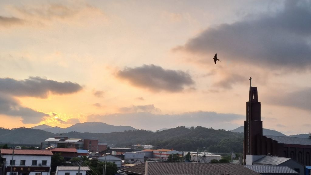 게시글 대표 이미지