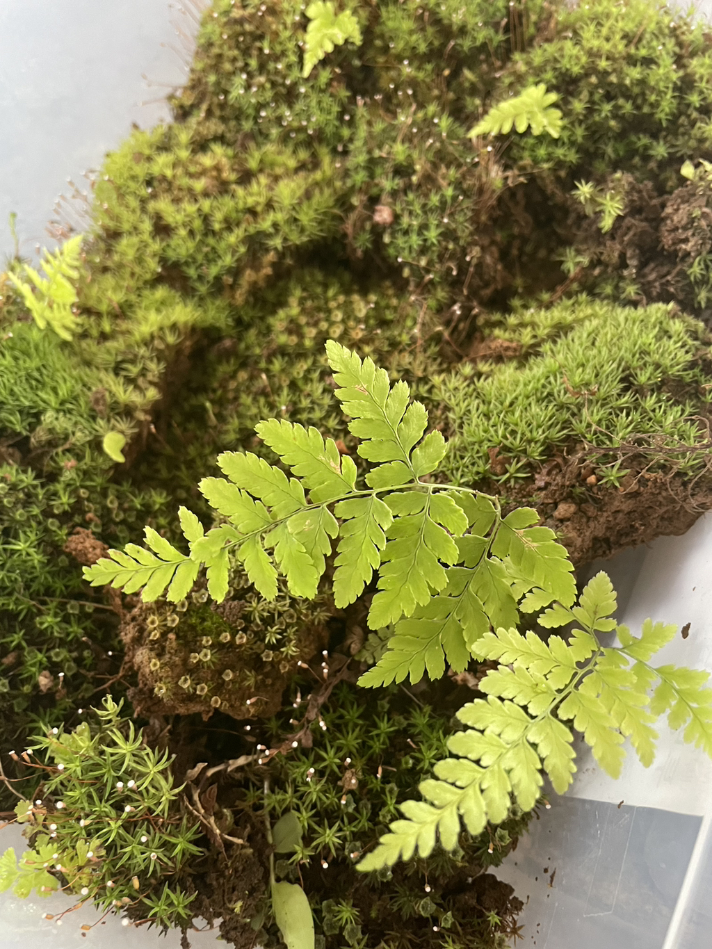 게시글 대표 이미지