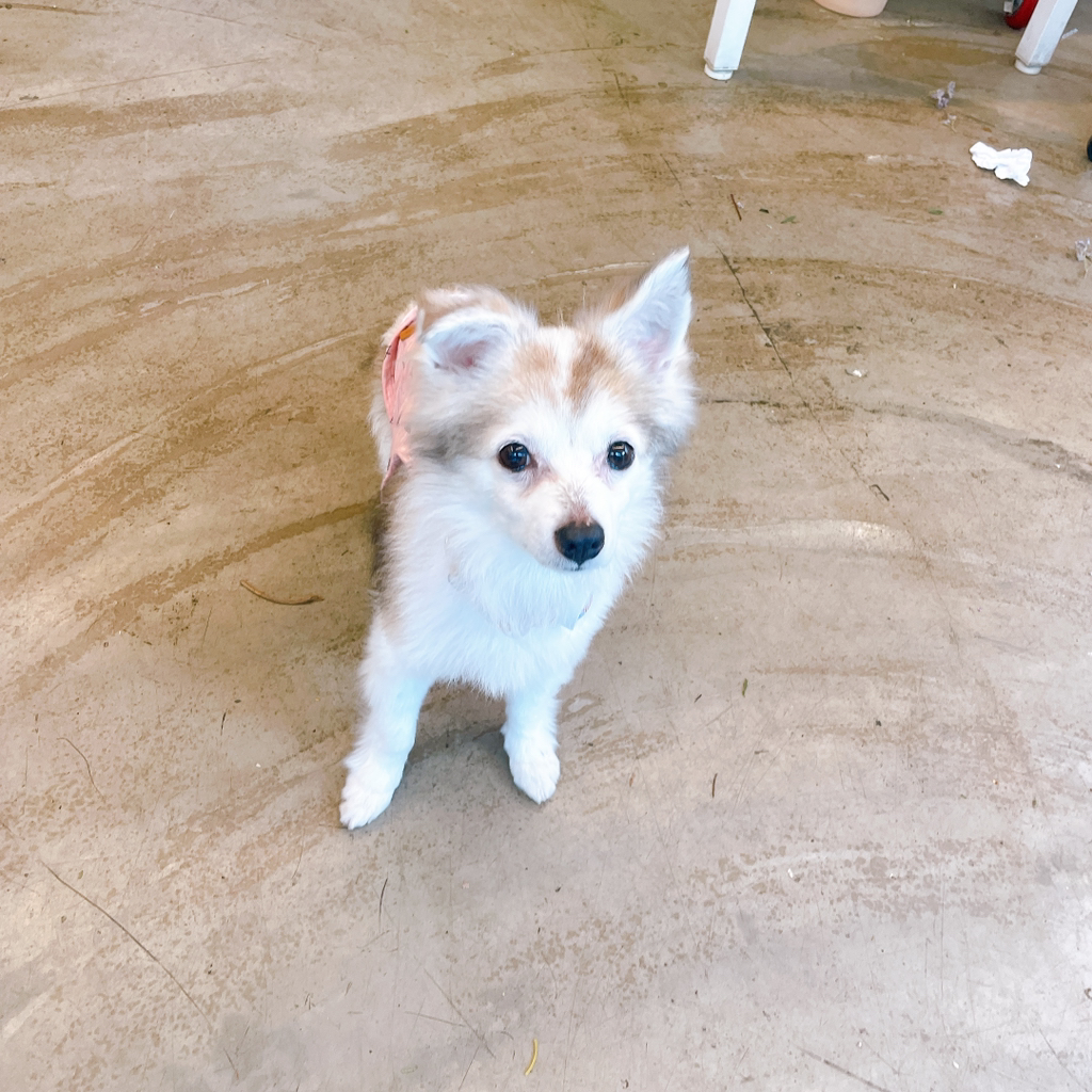 게시글 대표 이미지