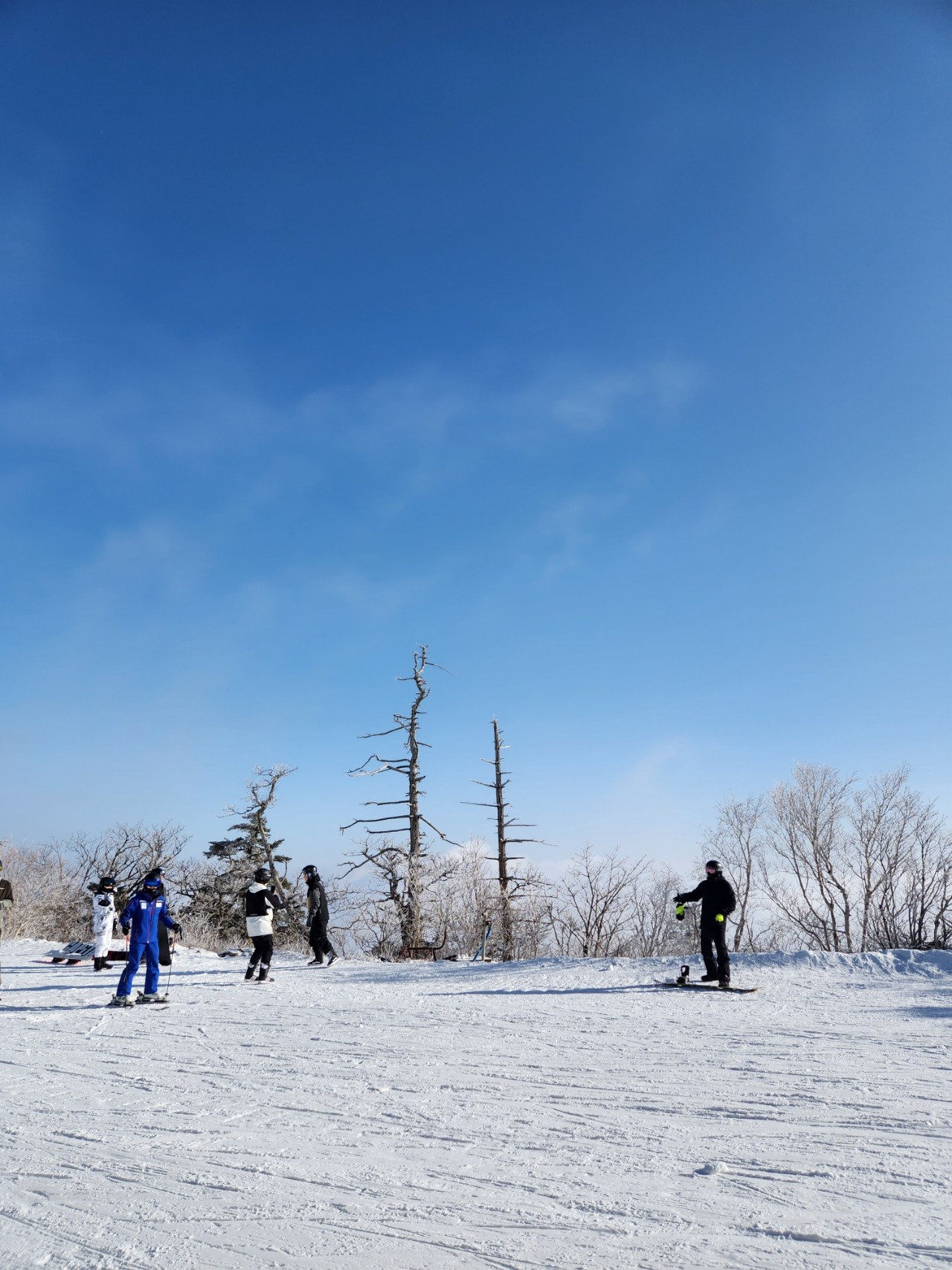 게시글 대표 이미지