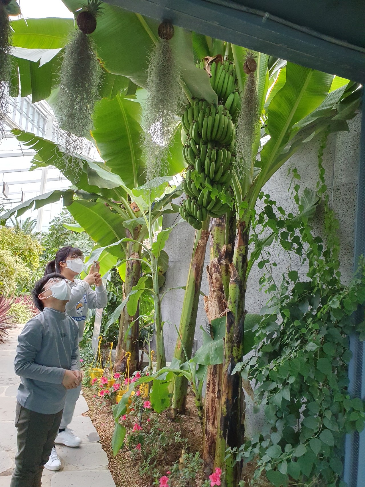 게시글 대표 이미지