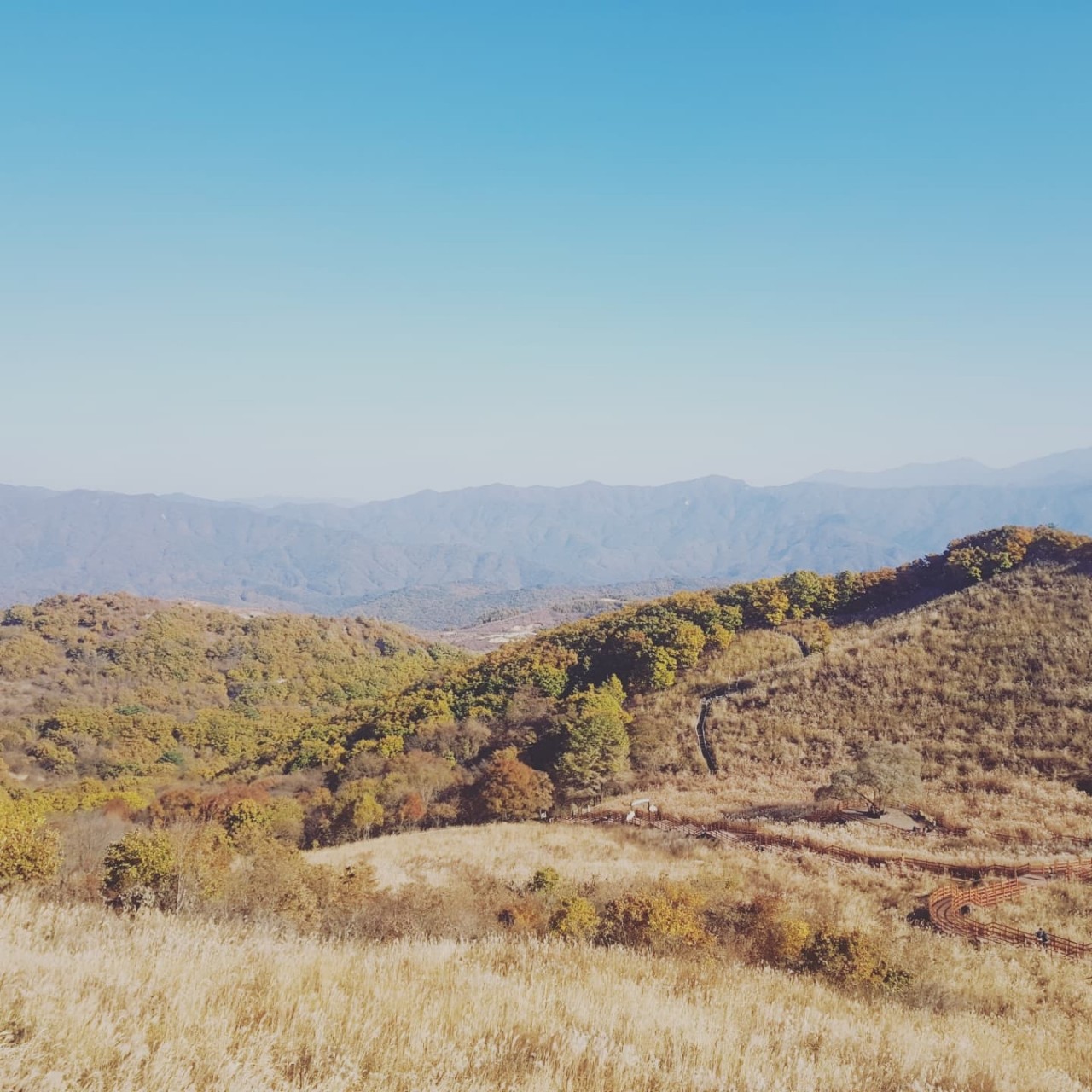 게시글 대표 이미지