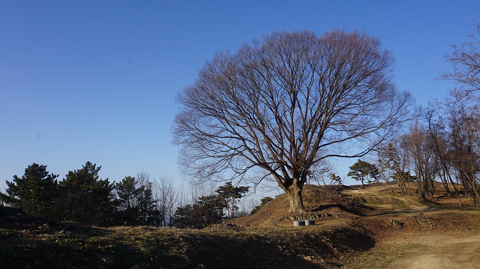 게시글 대표 이미지