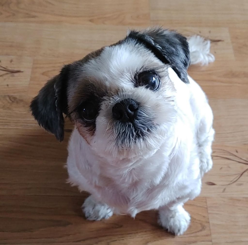 게시글 대표 이미지