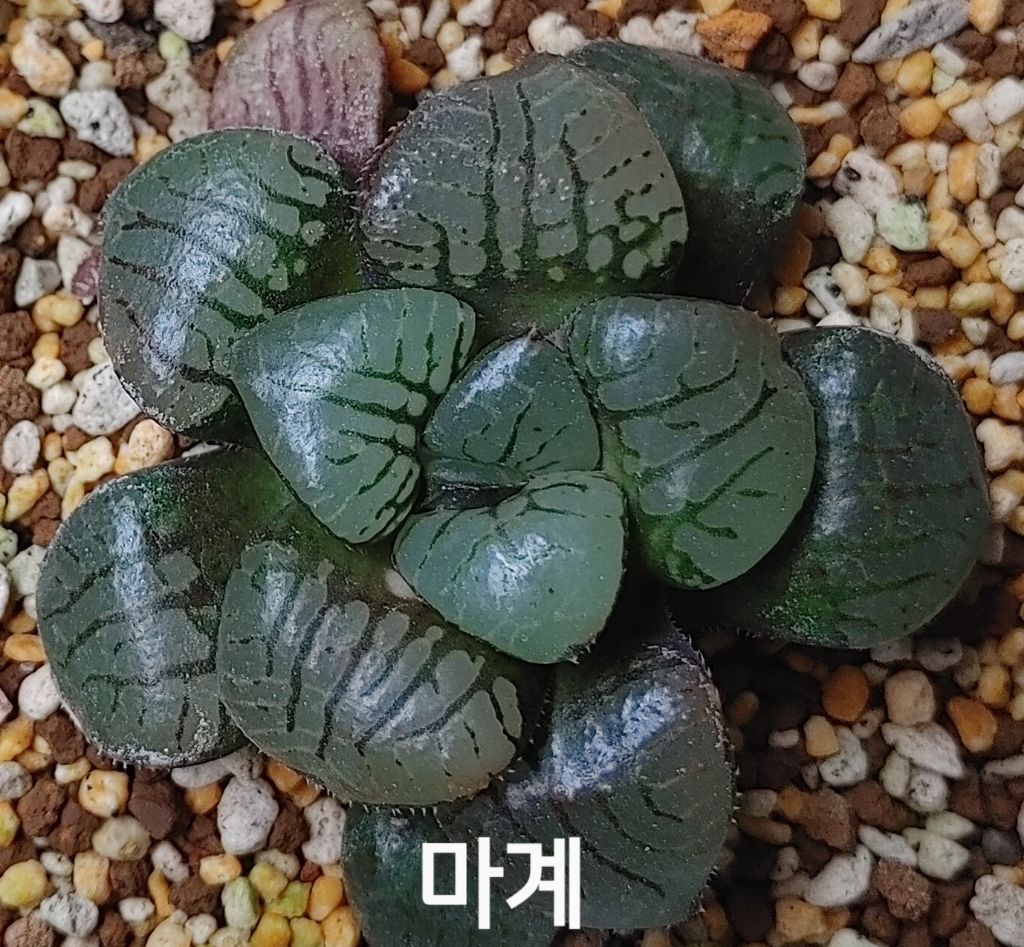 게시글 대표 이미지