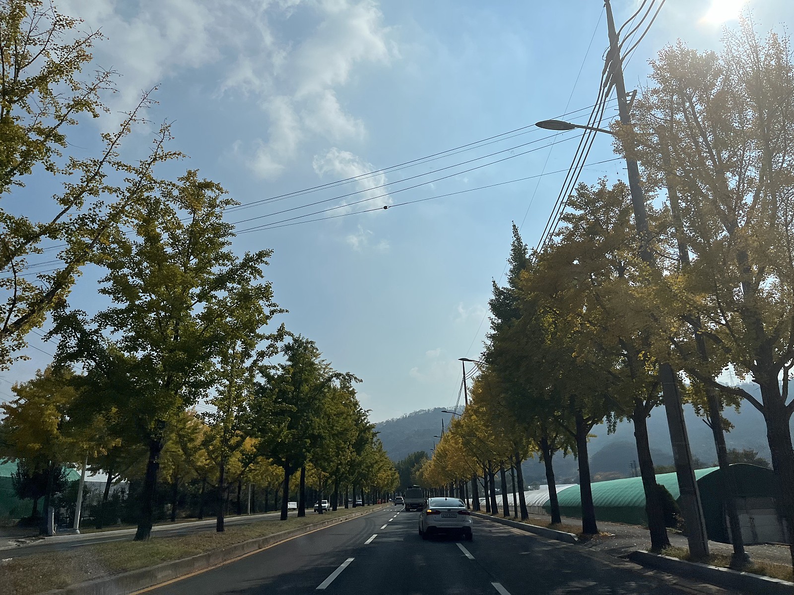 게시글 대표 이미지