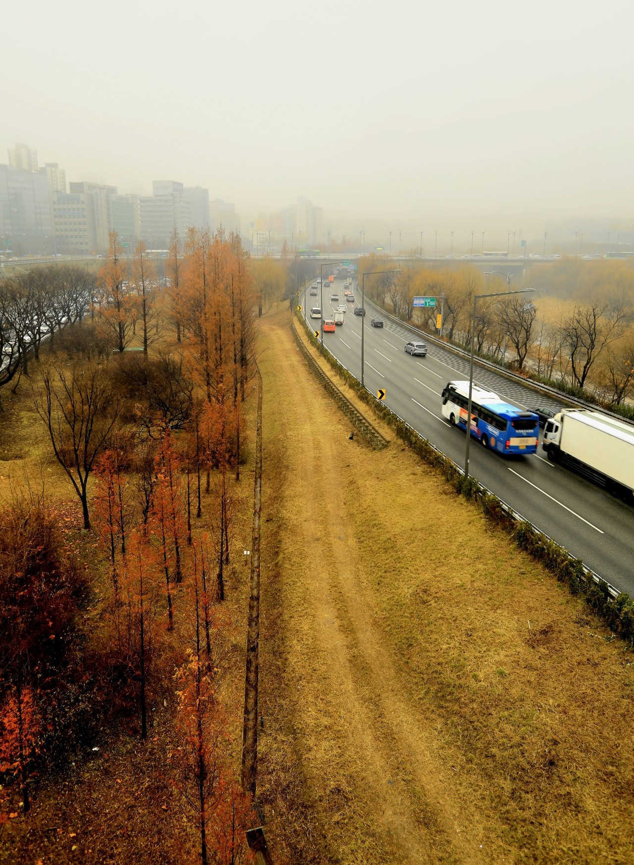 게시글 대표 이미지