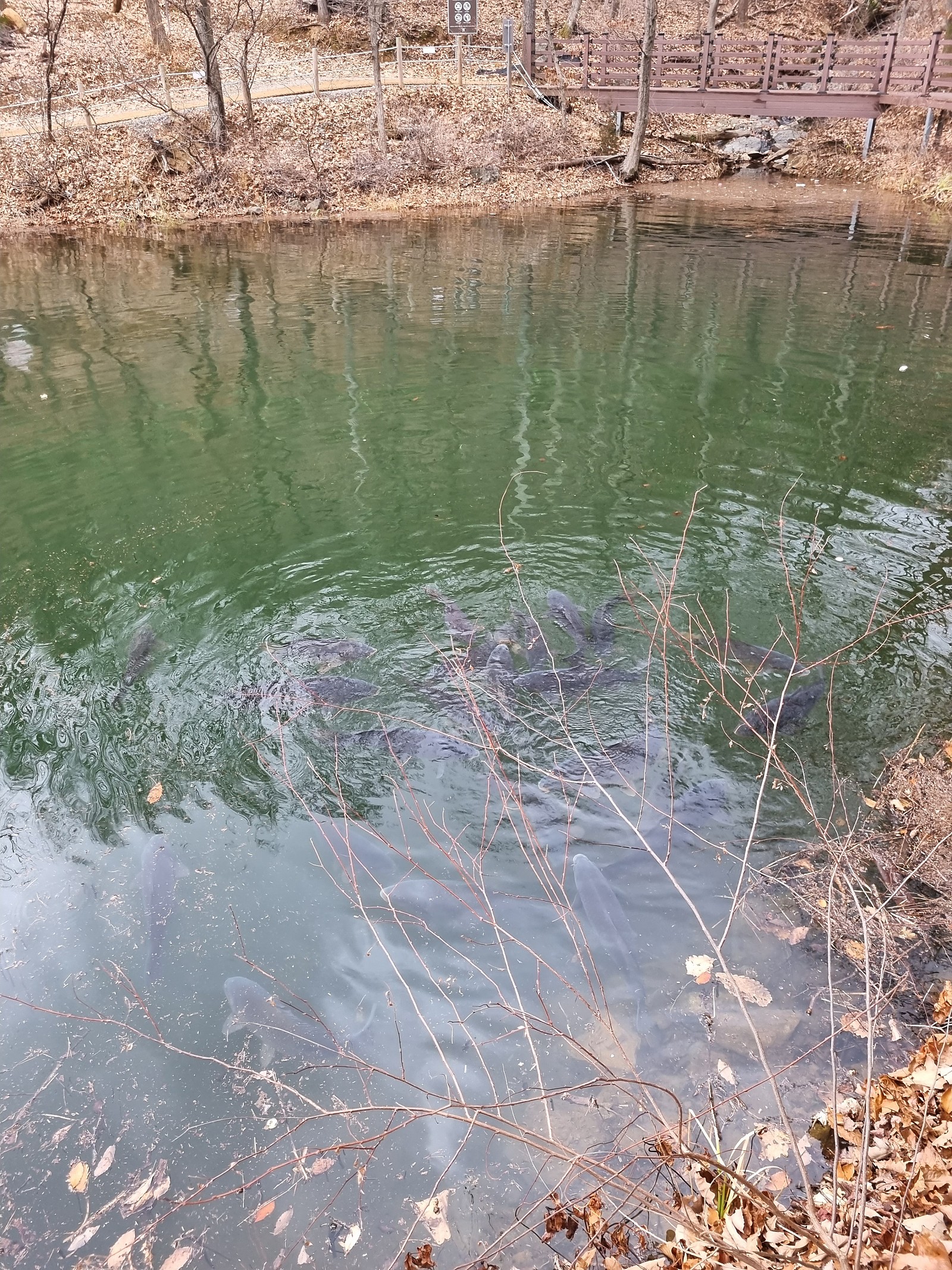 게시글 대표 이미지