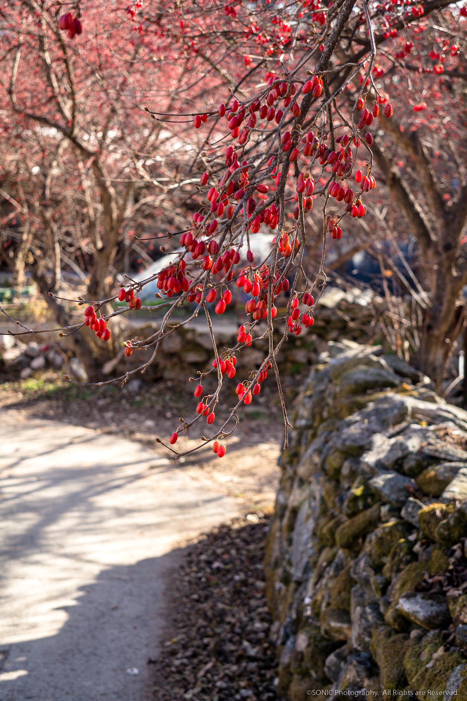 게시글 대표 이미지