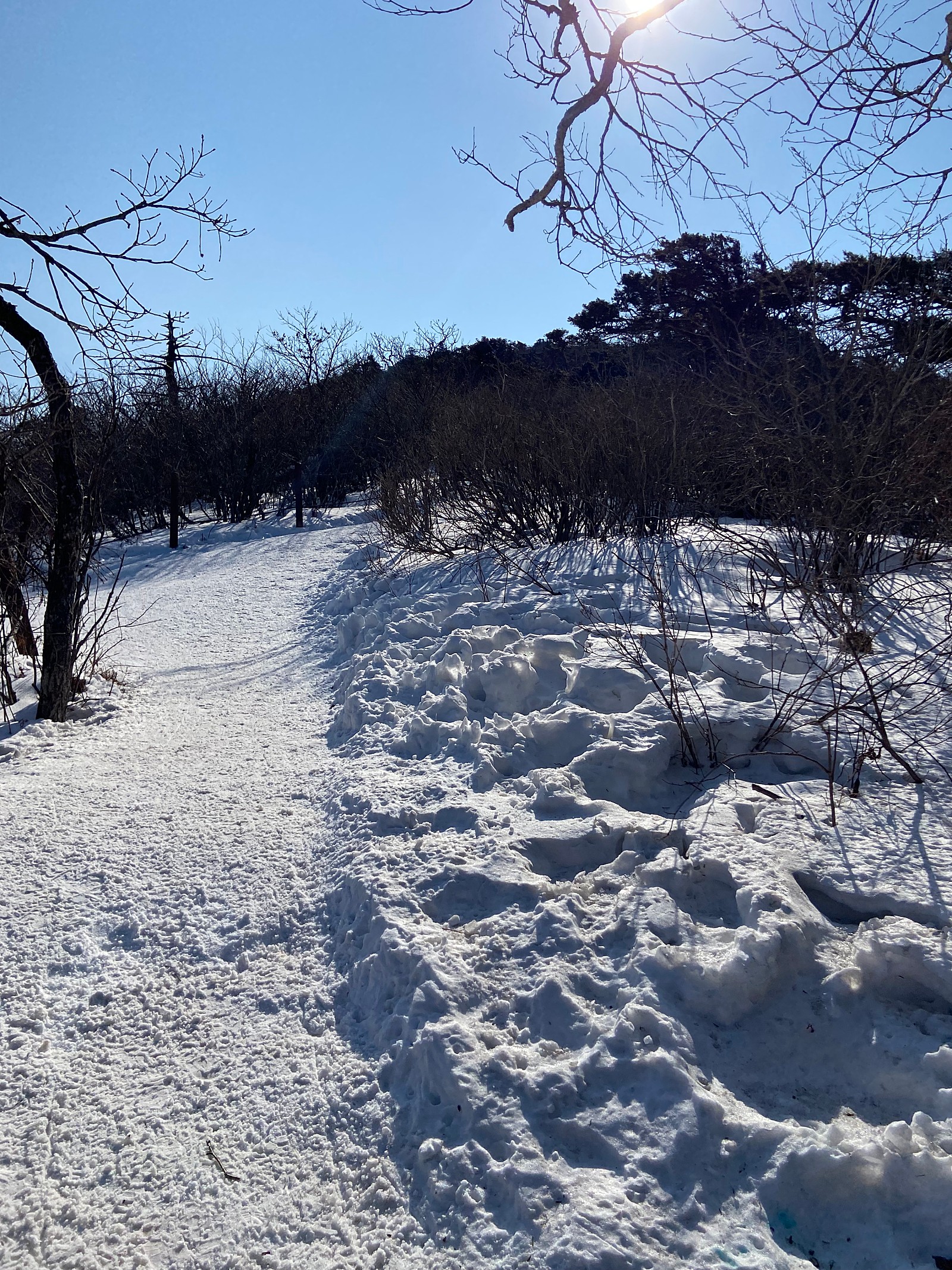 게시글 대표 이미지