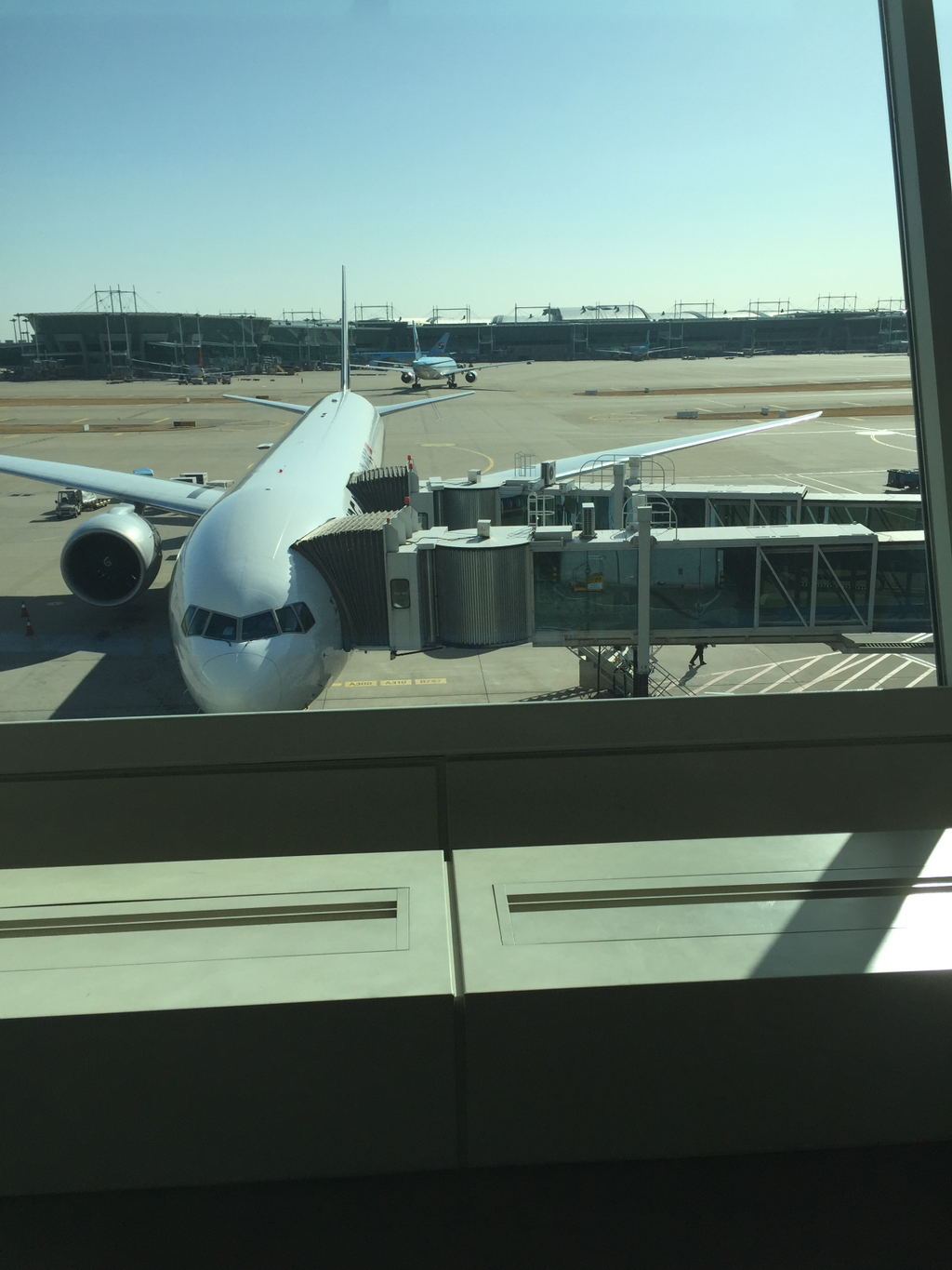 게시글 대표 이미지