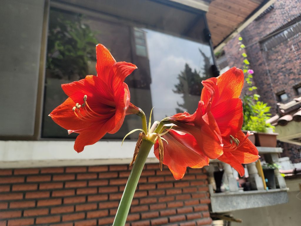 게시글 대표 이미지