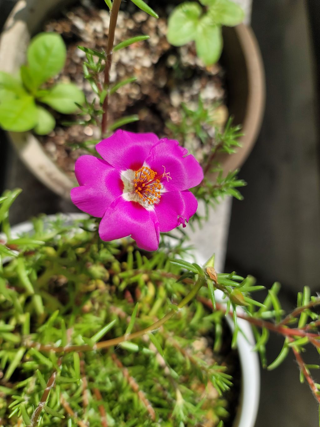 게시글 대표 이미지