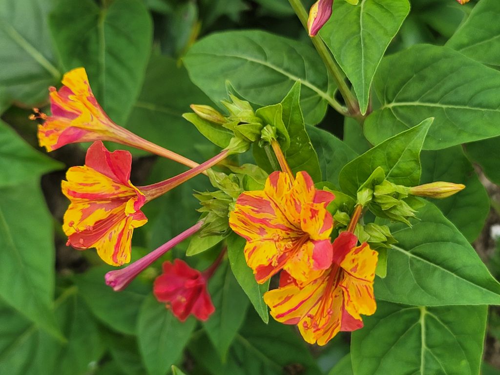 게시글 대표 이미지