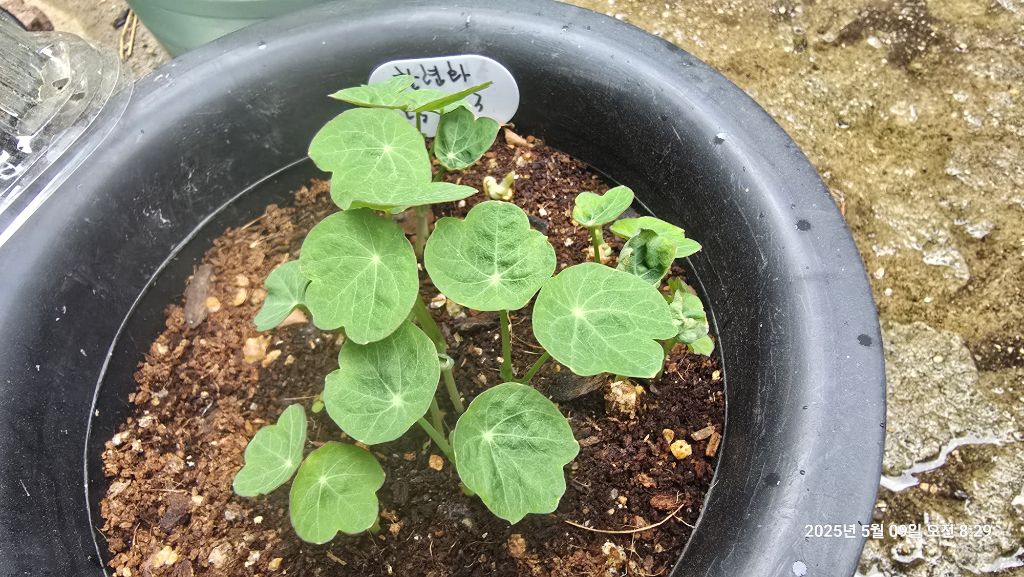 게시글 대표 이미지