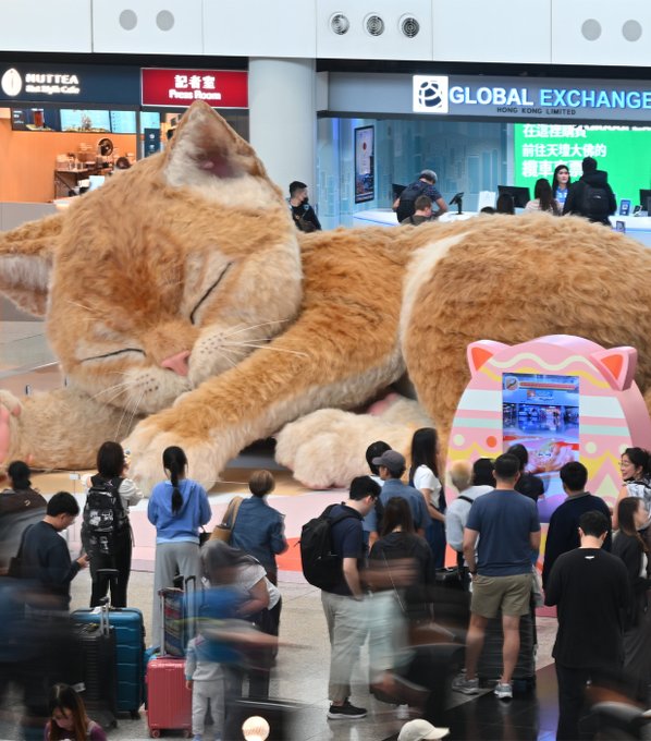 게시글 대표 이미지